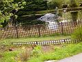 Aviemore-Fort William (130)